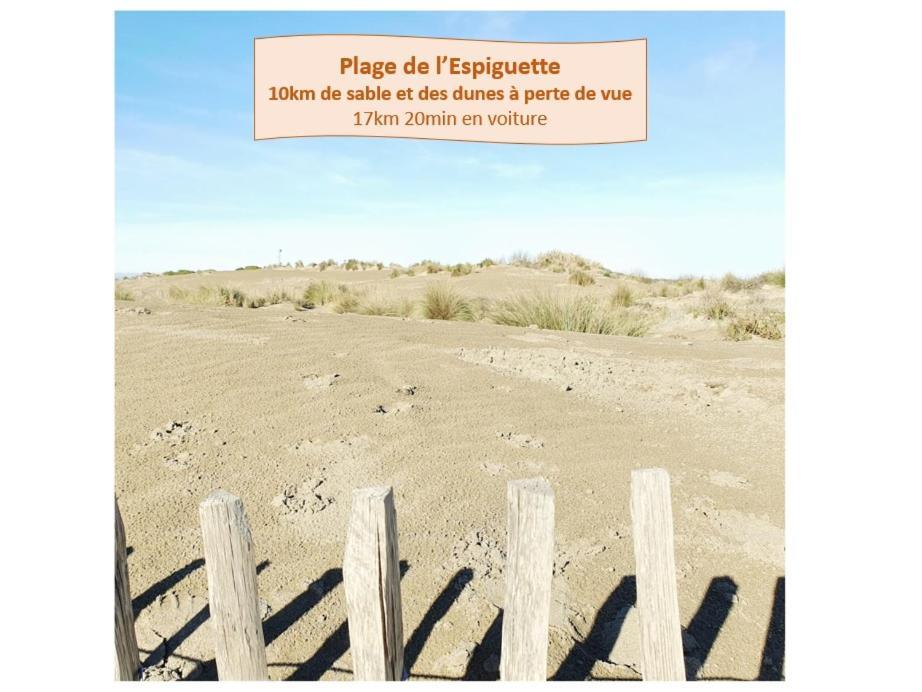 Apartamento L'olympe Vue Parking Clim Wifi - Rossiconciergerie - Linge Inclus La Grande-Motte